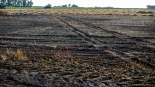 Pożar w miejscowości Brulin koło Śniadowa, 19.07.2024, fot. Paweł Wądołowski