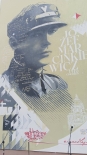 fot. Marcin Gliński