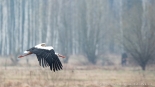 fot. Adam Janczewski