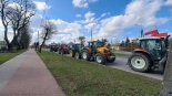 fot. Grzegorz Pilat