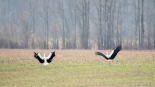 fot. Adam Janczewski