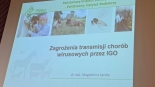 fot. M. Radek