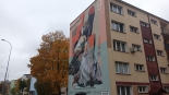 fot. Marcin Gliński