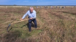fot. Adam Dąbrowski