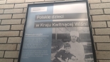 fot. Edyta Wołosik