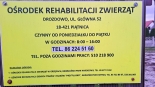fot. Adam Dąbrowski