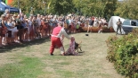 Rodzinny piknik militarny "Wojsko na swojsko", 15.08.2024, fot. Adam Dąbrowski
