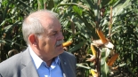 23. Krajowy Dzień Kukurydzy w Szepietowie, 8.09.2024, fot. Adam Dąbrowski