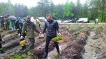 fot. Piotr Pietruczuk