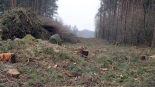 fot. Adam Dąbrowski