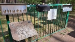 Cmentarz Żydowski w lesie koło Łopuchowa, fot. Marcin Gliński