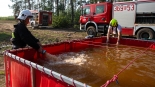 Pożar lasu w gminie Śniadowo, 30.08.2024, fot. Paweł Wądołowski