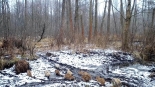 fot. Łomżyński Park Krajobrazowy Doliny Narwi