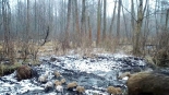 fot. Łomżyński Park Krajobrazowy Doliny Narwi