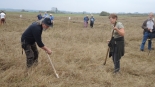 Biebrzańskie Sianokosy, 14.09.2024, fot. Adam Dąbrowski