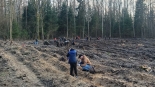 Piłkarze i kibice Jagiellonii Białystok posadzili kilkaset dębów w Lesie Solnickim, 21.03.2025, fot. Marcin Gliński