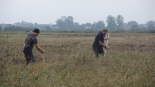 Biebrzańskie Sianokosy, 14.09.2024, fot. Adam Dąbrowski