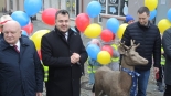 Rzeźba młodego jelenia w Łomży, 21.12.2024, fot. Adam Dąbrowski
