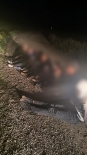 Wspólne patrole Straży Granicznej i Wojsk Obrony Terytorialnej zatrzymały dwie grupy nielegalnych migrantów, źródło: Straż Graniczna