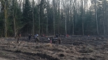 Piłkarze i kibice Jagiellonii Białystok posadzili kilkaset dębów w Lesie Solnickim, 21.03.2025, fot. Marcin Gliński
