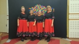 Rozstrzygnięcie X edycji "Olimpiady Aktywności Wiejskiej", 19.11.2024, fot. Renata Reda