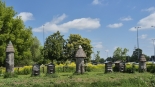 Pierwsze tegoroczne miodobranie w białostockiej pasiece miejskiej, 20.05.2025, fot. Ryszard Minko