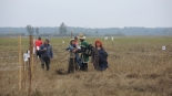 Biebrzańskie Sianokosy, 14.09.2024, fot. Adam Dąbrowski
