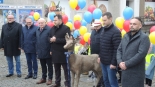 Rzeźba młodego jelenia w Łomży, 21.12.2024, fot. Adam Dąbrowski
