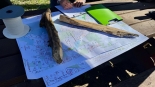 Spotkanie w sprawie wycinek w Suwalskim Parku Krajobrazowym, 4.04.2025, fot. Anna Auron-Wasilewska