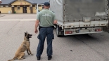 Udaremniona próba przemytu papierosów w Ogrodnikach, 3.09.2025, fot. Podlaska KAS