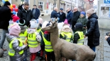 Rzeźba młodego jelenia w Łomży, 21.12.2024, fot. Adam Dąbrowski