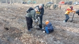 Piłkarze i kibice Jagiellonii Białystok posadzili kilkaset dębów w Lesie Solnickim, 21.03.2025, fot. Marcin Gliński