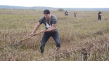 Biebrzańskie Sianokosy, 14.09.2024, fot. Adam Dąbrowski