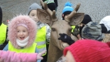 Rzeźba młodego jelenia w Łomży, 21.12.2024, fot. Adam Dąbrowski